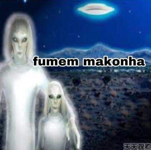 Shitpost só que de verdade (@shitpostverdade) on Twitter photo 