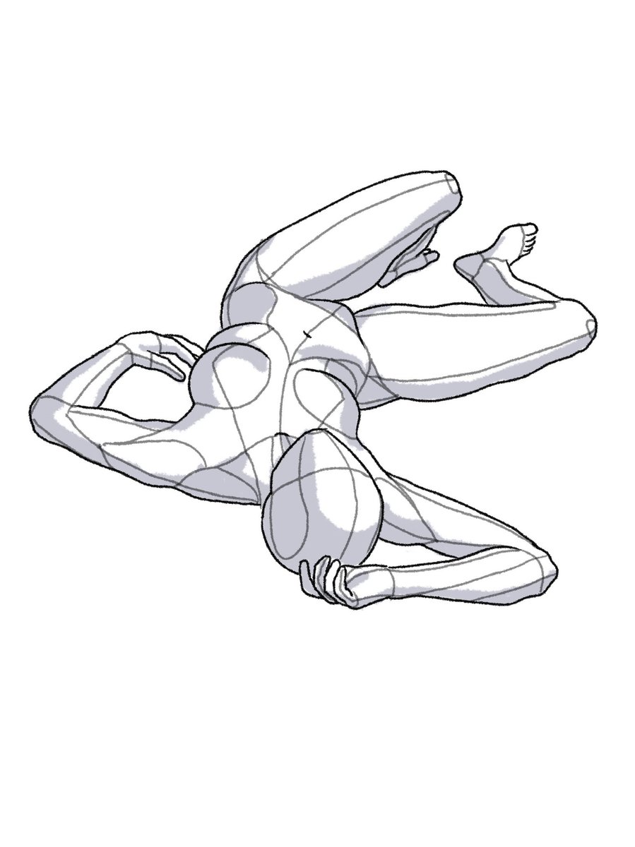 Anatomy Tutorials On Twitter Anatomy tutorials on twitter
