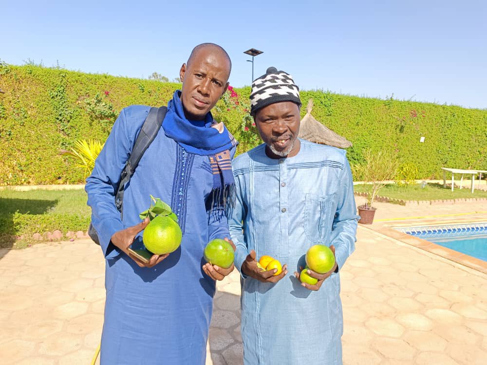 Un séjour inoubliable à Matam #rapen #fadel #roseaux #solidarite #corine #pnajc