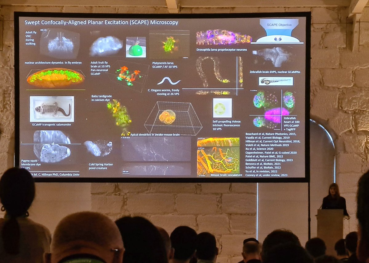 José Rino (@jose_rino_) on Twitter photo Stunning presentation by <a href="/HillmanLab/">Elizabeth M. C. Hillman</a> at #FOM2023 of swept confocally-aligned planar excitation (SCAPE) microscopy. Very fast 3D live imaging of flies, worms, zebrafish, mice and even a clinical version for imaging fresh human tissues during surgery. Wow. Stunning presentation by <a href="/HillmanLab/">Elizabeth M. C. Hillman</a> at #FOM2023 of swept confocally-aligned planar excitation (SCAPE) microscopy. Very fast 3D live imaging of flies, worms, zebrafish, mice and even a clinical version for imaging fresh human tissues during surgery. Wow.