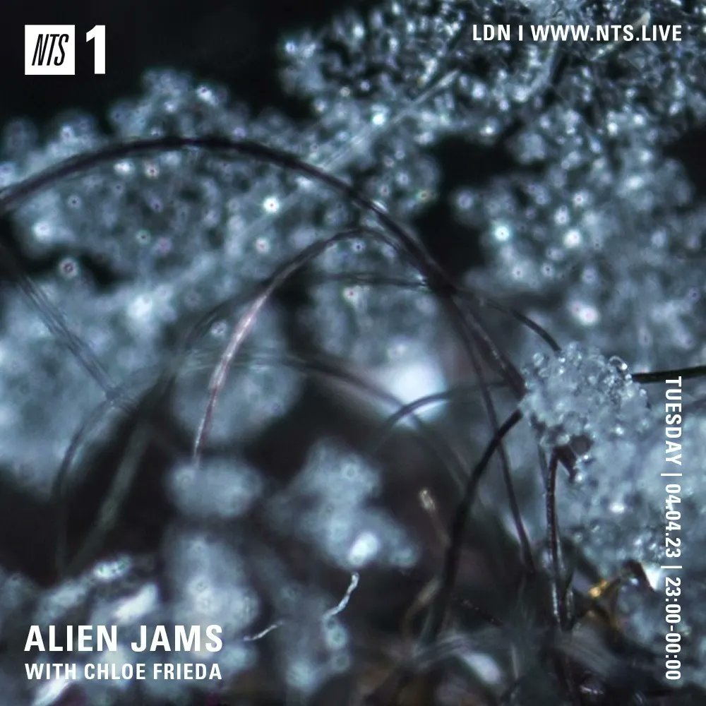 Alien Jams tweet media