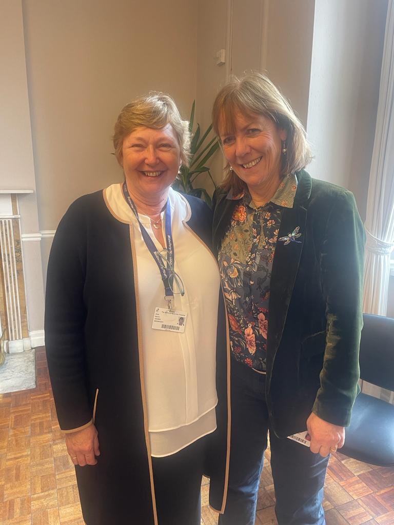 Mary brosnan tweet media