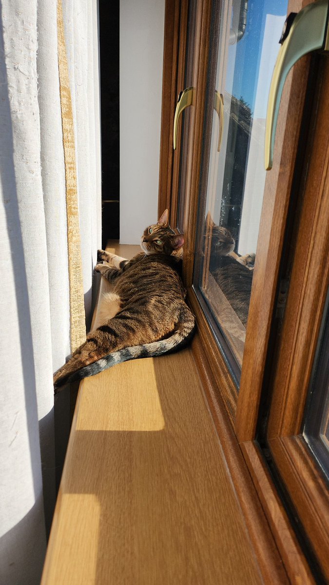 No one is enjoying the sunshine more than Kevin.