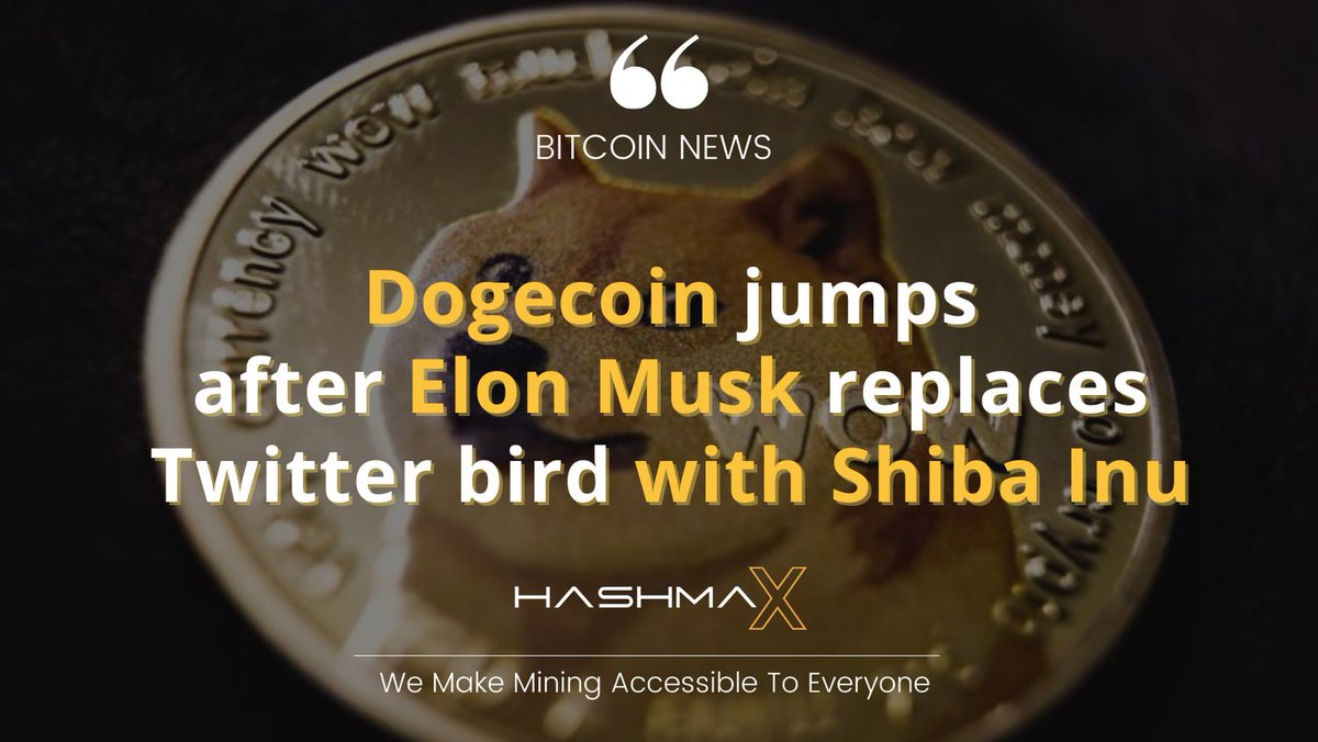 hashmax_mining's tweet photo. 🌍Bitcoin News 🌍

➡️
Dogecoin surged after Twitter replaced its familiar blue bird atop 

➡️Know more: https://t.co/eGh4FyQe6u

#blockchain #cryptocurrency #crypto #bitcoinnews #bitcoinmining #bitcoins #btc #hashmax #hashcube #cryptoword #Binance #Dogecoin #Elonmask #twitter https://t.co/zWwAzmJibx