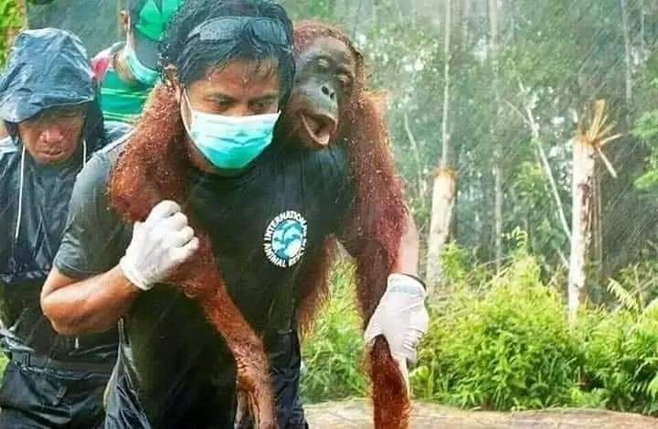 asadull74609585's tweet photo. فیصلہ سننے کے بعد طبیعت بگڑنے پر عطا تارڑ کو ہسپتال منتقل کر دیا گیا🤭 https://t.co/ykSnvTRWHP