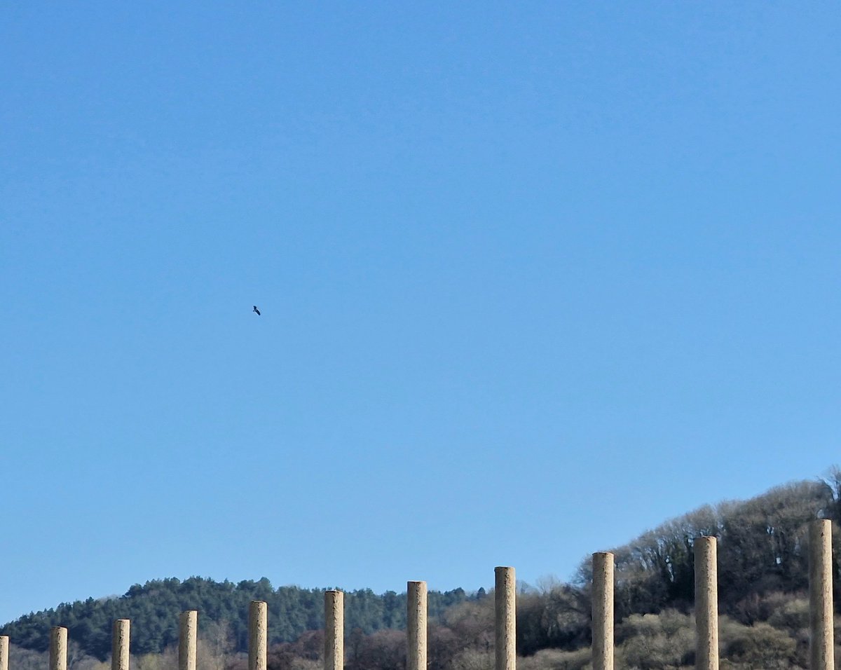 AxeBirder's tweet photo. Just a couple of casual phone pics of an Osprey from work! Last seen flying south west from lower Axe Estuary at 10:33. Great to share with many of my work colleagues #notachicken @DaddaDinosaur https://t.co/mgrvb4nLmQ