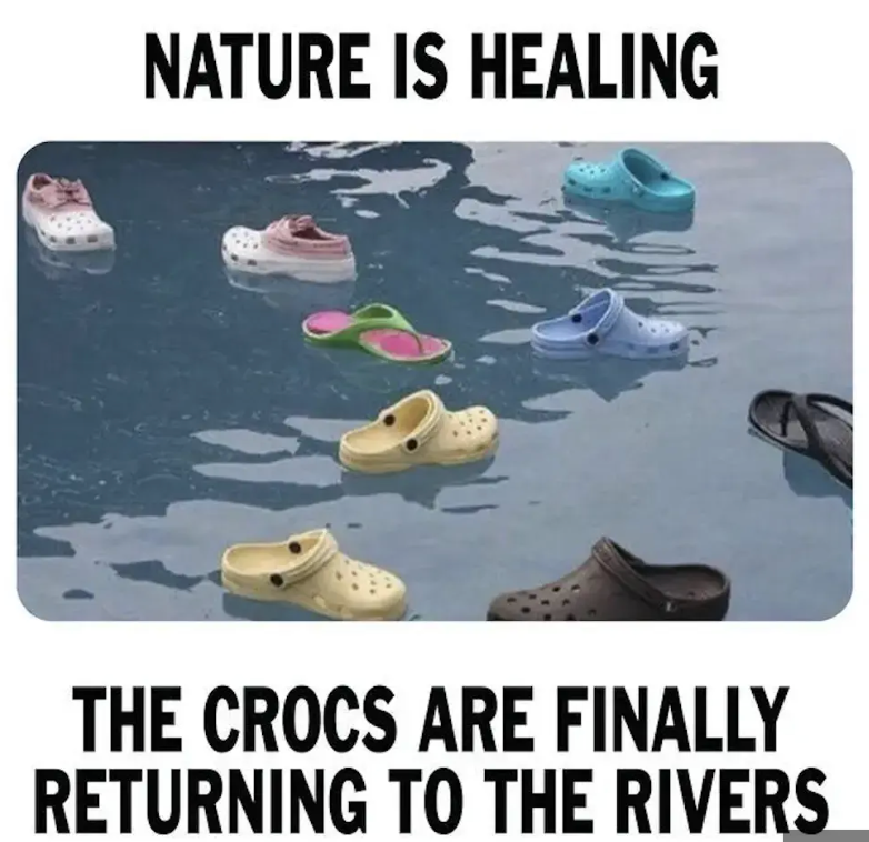 B_intuitive's tweet photo. Meme Monday! ๐
.
.
.
.
.
#bintuitive #bintuitivemetaphysicalstoreandhealingcenter #spiritual #spirituality #spiritualawakening #consciousness #higherself #metaphysical #freespirit #wiccan #treasures #namaste #meme #memes #mememonday #memeoftheday https://t.co/7MhI2XD9aJ