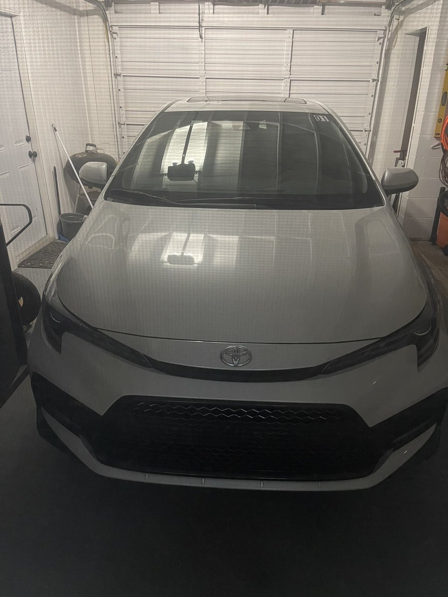 MissWhitneyMorgan @ all Exxxoticas + FetishCon tweet media