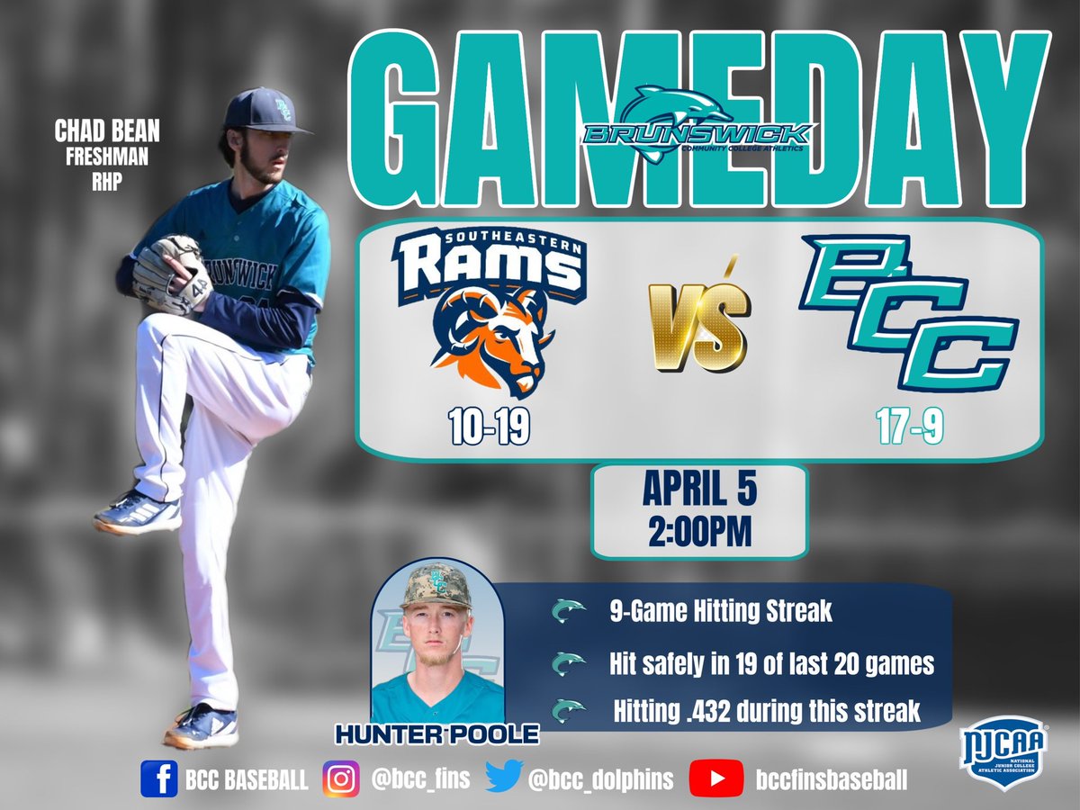 BCC Dolphins tweet media