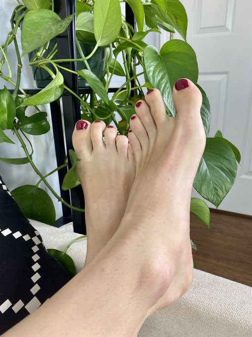 Do My feet make your dick hard?? https://t.co/pN8jb3unxX