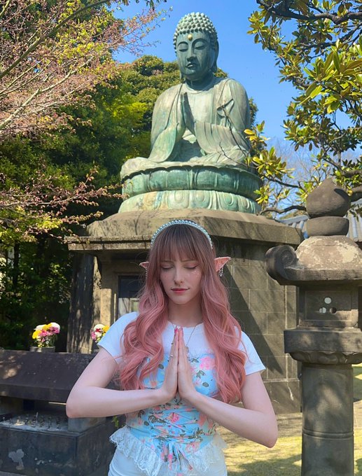 🌸🌸🌸🌸🌸🌸 https://t.co/reg79goQGu