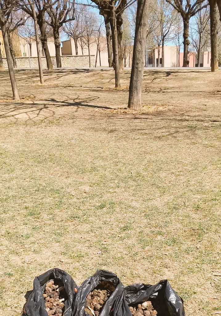 vic_ciutadania's tweet photo. 📸 Hem retirat 7 kg de 💩 del parc de l'Era d'en Sellés. 😠
Les femtes  poden perjudicar la salut del teu 🐕 i posen en risc la salubritat pública. 😷 Per això les multes són de 500 euros 💶.
Si tens informació de qui no recull, truca'ns! 626097637. #Agentscívics #VicConvivència https://t.co/PU29KFBW17
