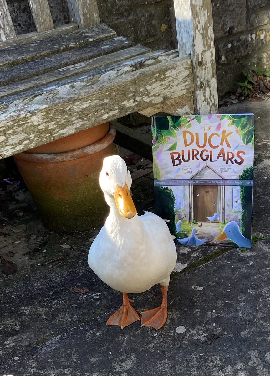 AnnetteStacey10's tweet photo. Unique Proof Readers! These ducks can’t wait for their story to be told! 🦆🍰📚#TheDuckBurglars #writerscommunity #Iamwriting #SpringStories #Childrensbook #bedtimestories #earlyyears @sarahjdocker https://t.co/okblZe7OH5