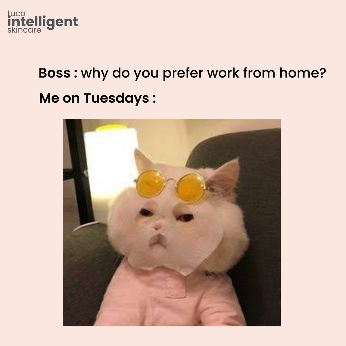 UnbottleCo's tweet image. When self-care is the only way to survive the work week 😸🌟 #BeIntelligent  #SkincareEveryday #TreatYourself #TuesdayVibes #skincare #selfcare