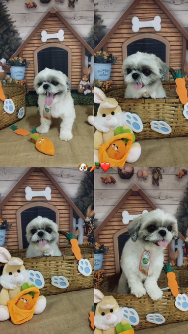 meu garoto 🫶🏻 https://t.co/hT1ZTsG4i4<a href="/tag/dragmedown"class="tags"><span>#dragmedown</span></a><a href="/tag/otraindianapolis"class="tags"><span>#otraindianapolis</span></a>