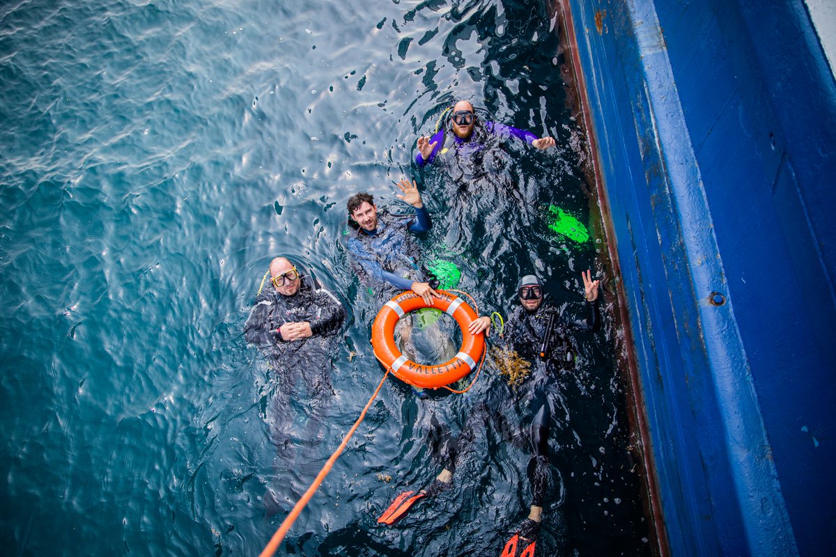 logoshope's tweet image. Hull Inspection⚓🚢
From time to time a team of divers🤿 from the crew go underwater to inspect the exterior of the ship. The team checks to see if there are any obstruction&apos;s like sea weed or barnacles to essential equipment like propellers or stabilizers.