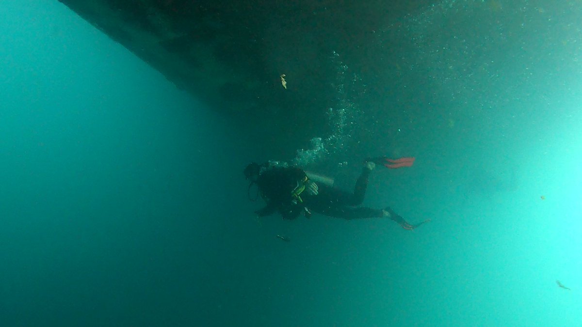 logoshope's tweet image. Hull Inspection⚓🚢
From time to time a team of divers🤿 from the crew go underwater to inspect the exterior of the ship. The team checks to see if there are any obstruction&apos;s like sea weed or barnacles to essential equipment like propellers or stabilizers.