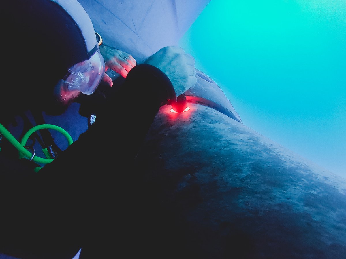 logoshope's tweet image. Hull Inspection⚓🚢
From time to time a team of divers🤿 from the crew go underwater to inspect the exterior of the ship. The team checks to see if there are any obstruction&apos;s like sea weed or barnacles to essential equipment like propellers or stabilizers.