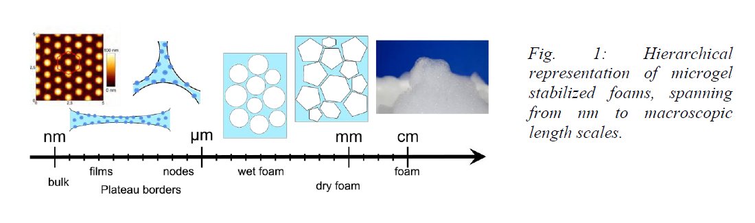 Institut Laue-Langevin tweet media