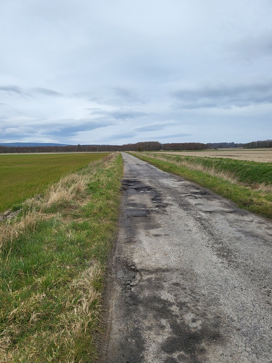 Ronamairead's tweet photo. So i decided to get out. And this time, it was a run. 6.45km. Even surprised myself here definitely out of practice. 
The joys of living on a farm is you have about 1.5km of nothing but fields. Love the quiet life. 
#letsgetmoving #getfitnotfat #countrygirl #countryliving #run https://t.co/wGi27liQl3
