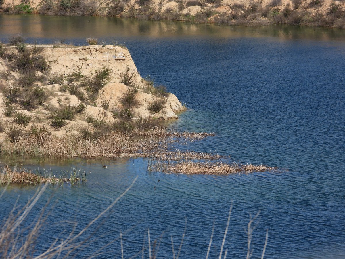 chantalduj's tweet photo. El domingo estuvimos de paseo por las Lagunas de Ambroz con @VillaverdeAmbi2 
Un resumen y algunas fotos de una mañana estupenda con varias anécdotas .
🧵👇 https://t.co/nenIcu3KAb