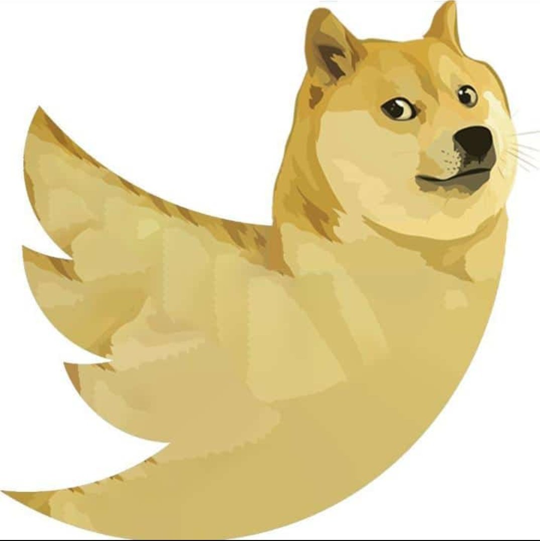 techtipssite's tweet photo. Dodge + Twitter
Artwork by @UdulaDamsara

#dodge #TwitterLogo #Memes

Read More👇
https://t.co/eGwrGSD9JF https://t.co/ZrRkBY1nuX