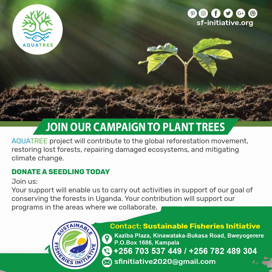 bakora_moses's tweet image. #AquaTreeProject 
@FAOfish @UNEP @FGRFC_Official @1trilliontreez @AquaTreeProject @EUEnvironment @treesforlifeuk