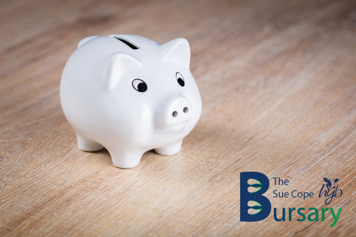 Holstein Young Breeders tweet media