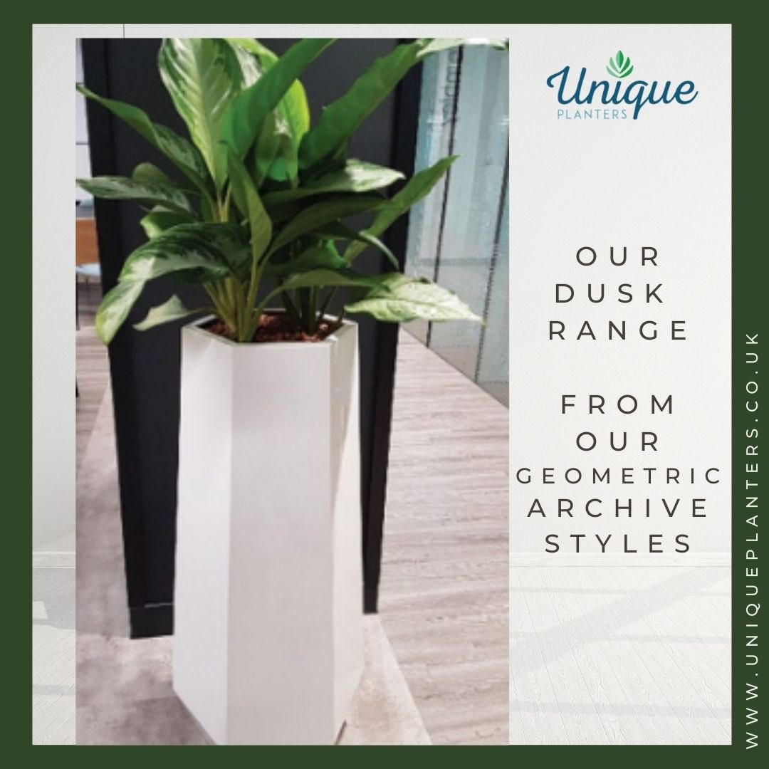 UniquePlanters's tweet photo. Our Geometric range consists of planter designs with a mathematical edge. Each one was created with utmost precision and accuracy to ensure, clean lines and perfect shapes. You won't find any lopsided hexagons here!⁠
⁠
https://t.co/x74zdHHq2F⁠
⁠
02394 006 100⁠ https://t.co/cJzraOfDaT