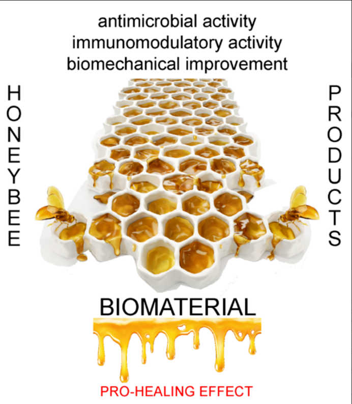 Biomim_MDPI's tweet photo. #RecommendedPaper
The Potential of Honeybee Products for Biomaterial Applications by Martina Rossi and Pasquale Marrazzo (@paskmarrazzo)
➡️Read the full paper here: https://t.co/5GNnVm7ABd
✔️#TissueEngineering; #honey; #biomaterials; #antimicrobials https://t.co/M3oO8vmAku