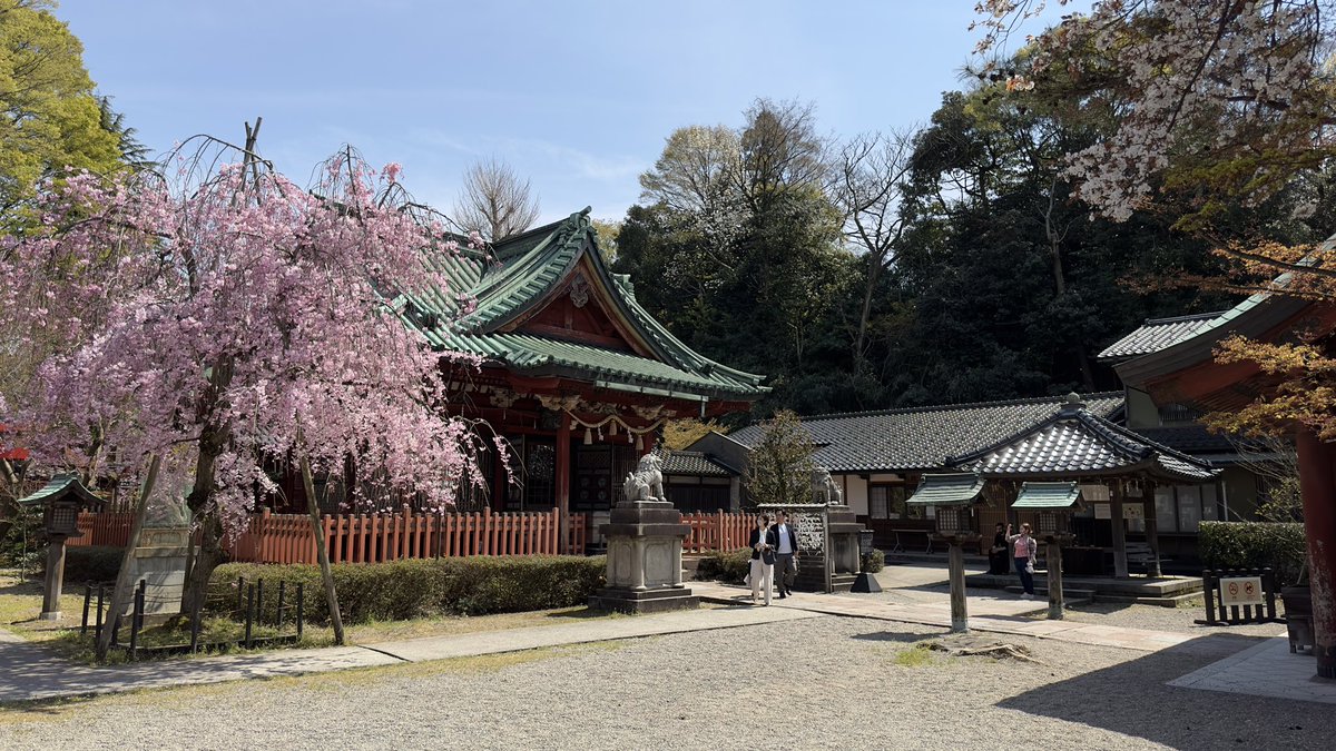 Ander✨ tweet media