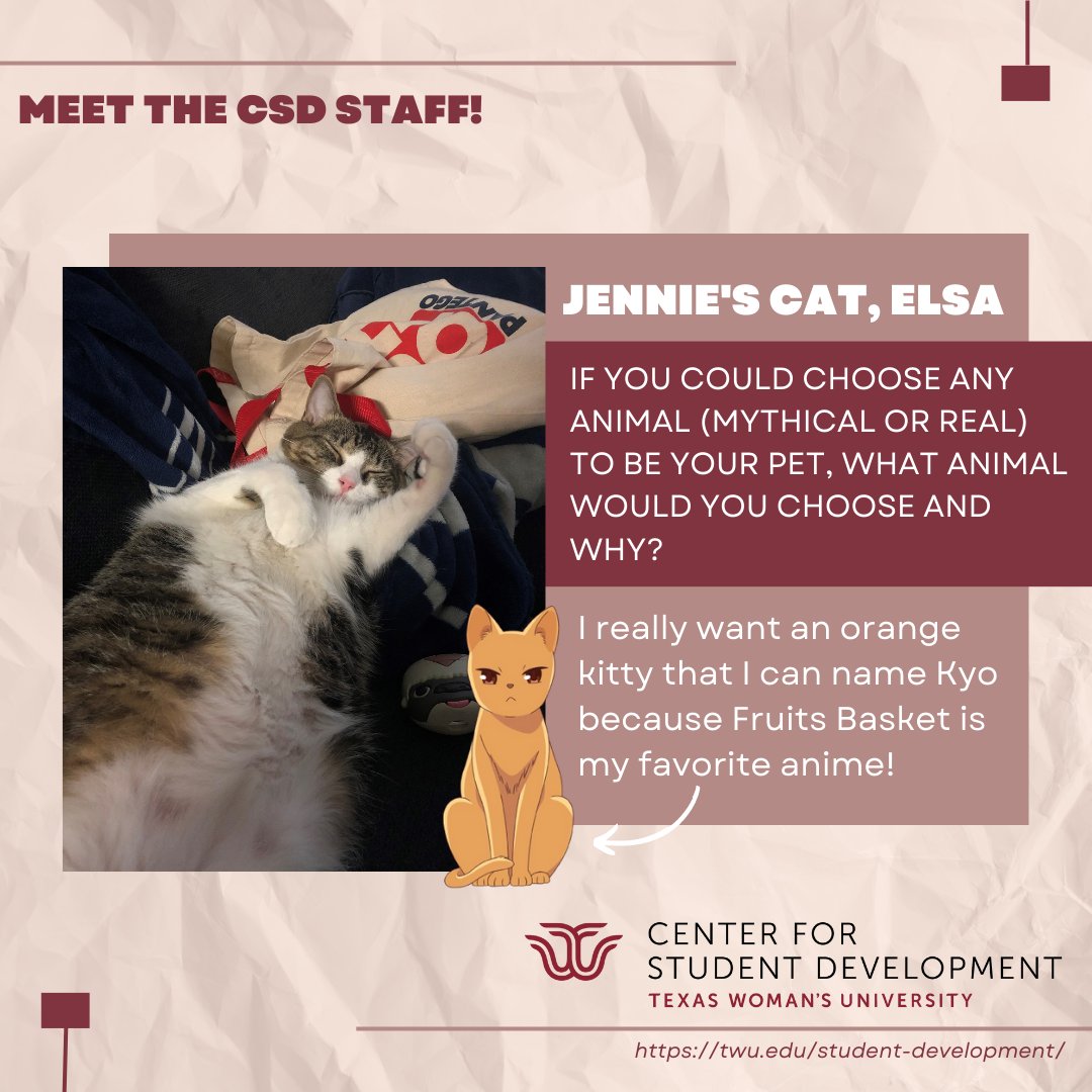 twucsd's tweet photo. ✨✨ Meet another one of our fantabulous staff at the CSD, Jennie! She is the Assistant Director of Involvement and Special Events! ✨✨ https://t.co/2x2Z1iIGnA