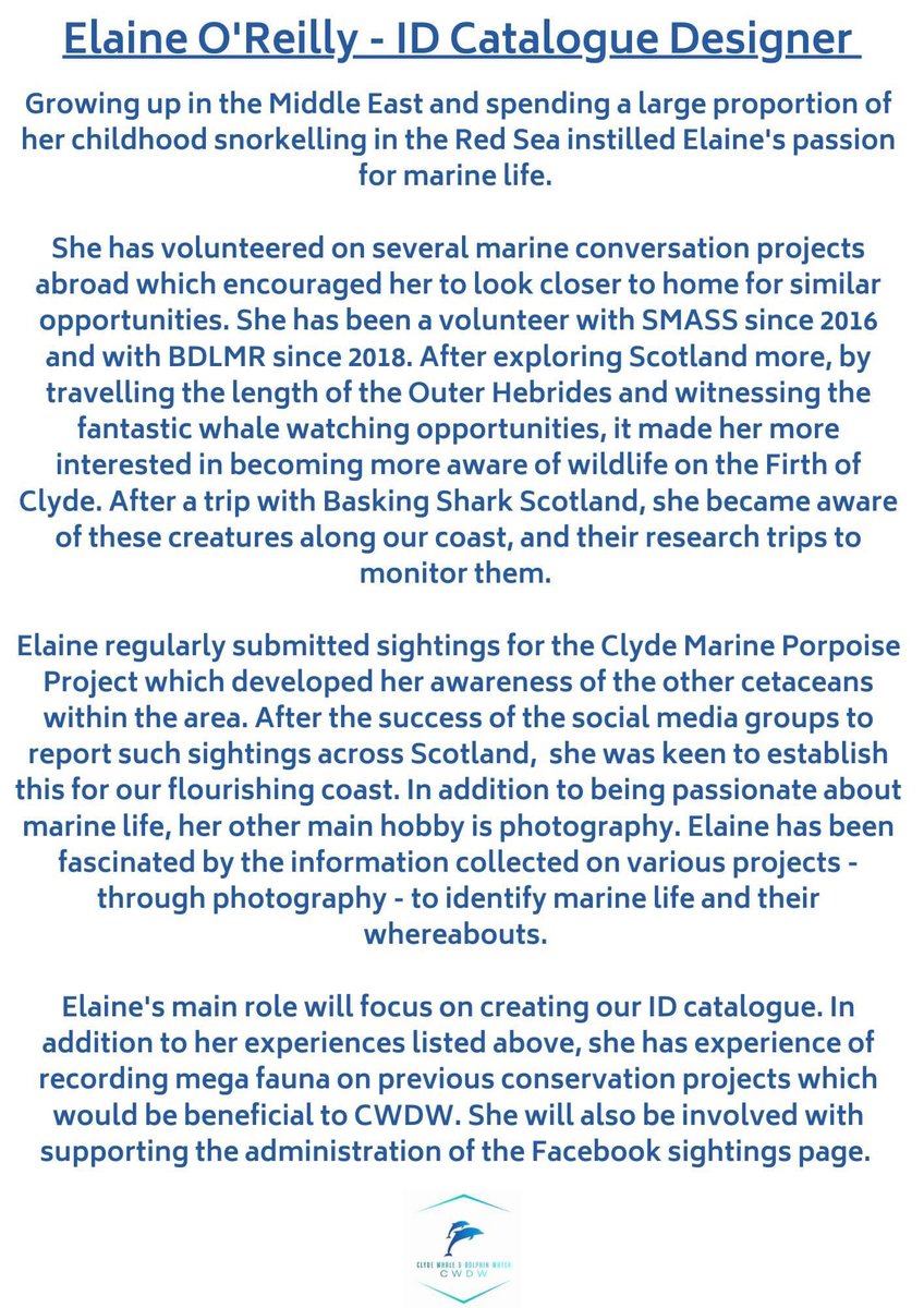 Clyde Whale & Dolphin Watch tweet media