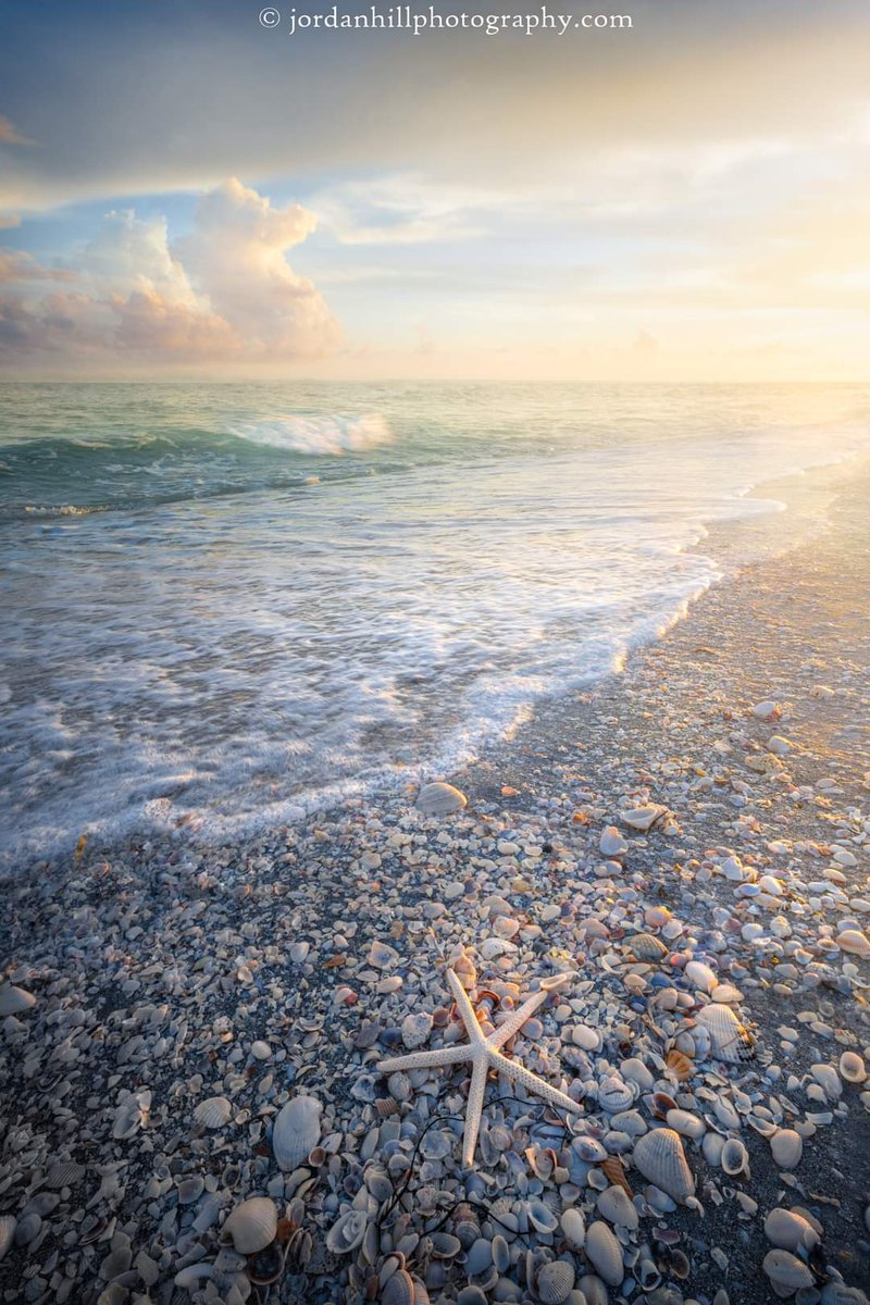 Sunset Among The Seashells
Prints 
jordanhillphotography.com/featured/starf…

#sanibel #sanibelisland #nature #outdoors #photographer #beach #pic #beachlife #beachvibes #seashells #seashell #fortmyers #captiva #beachcombing #photo #giftideas #wallart #homedecor #beachhouse #AYearForArt #BuyIntoArt