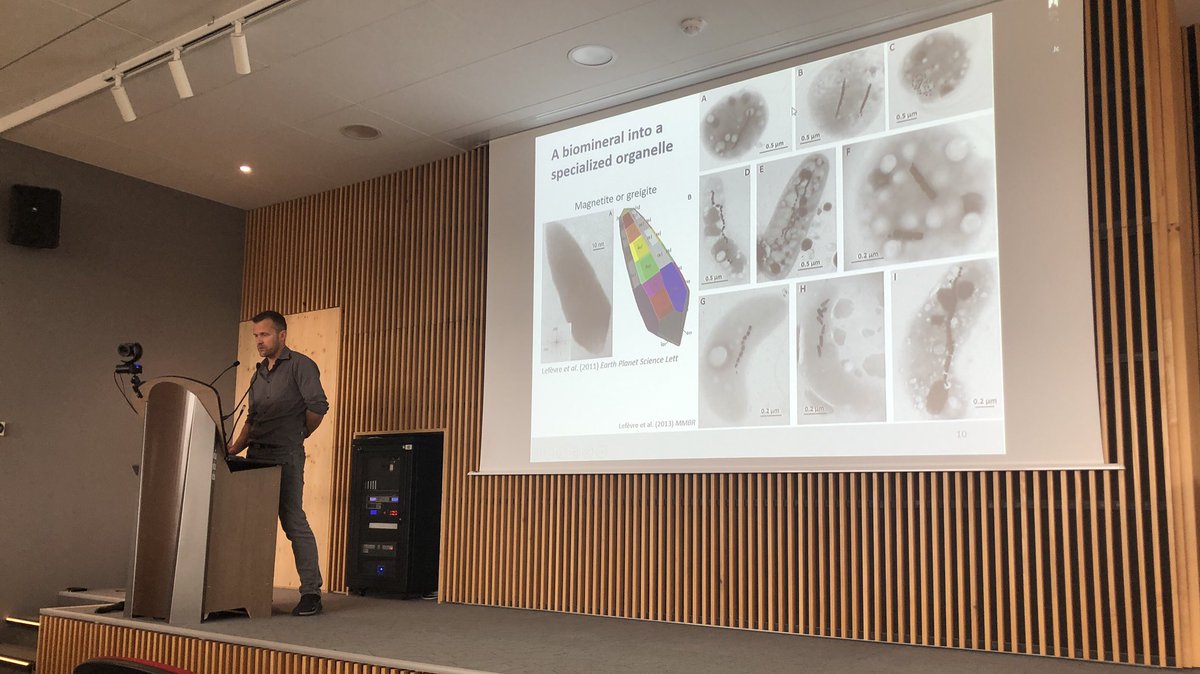 beamm_team's tweet photo. @CTLefevre introducing #magnetotactic bacteria during the @BIAM_CdE dat https://t.co/Gx0HoW2oET