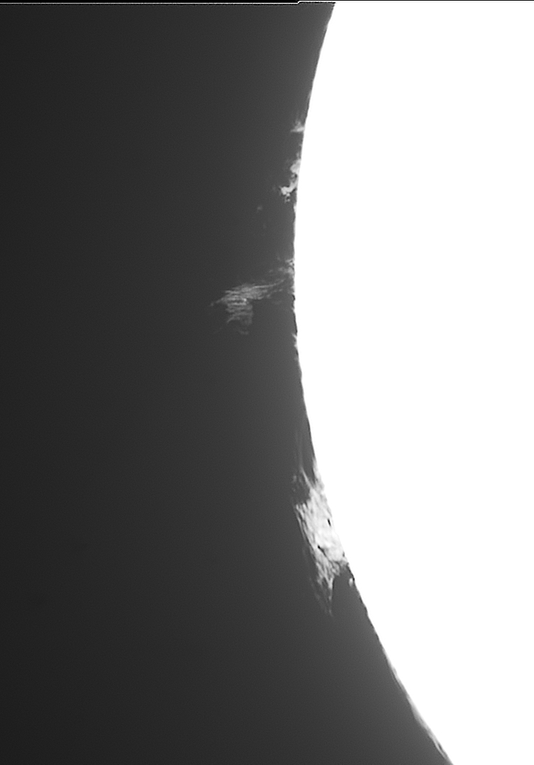 CarbonRobot's tweet photo. Few proms on the Sun yesterday. Tried to tease out those details but the bottom one just looks like a birds nest! Using a Daystar Quark, ASI174mm and a Z61 #sun #astrophotography #solar #astronomy #daystar #Prominences https://t.co/DYdvzGFPMm