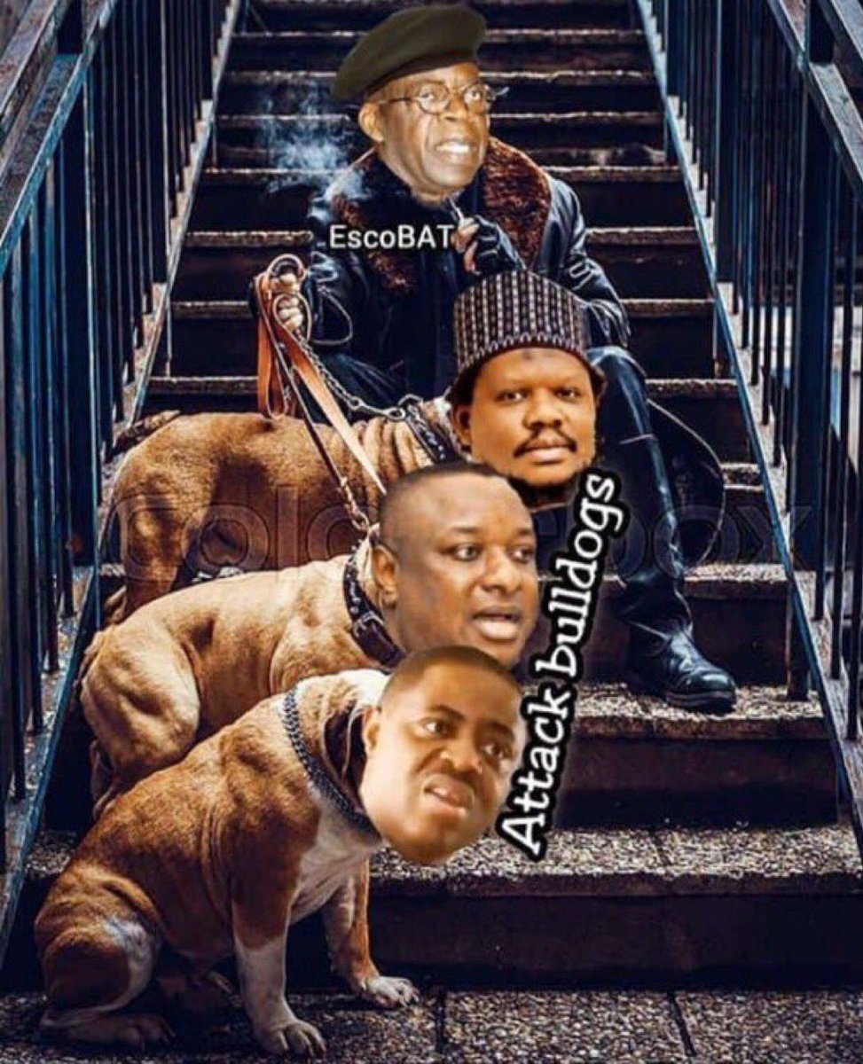 Rickymond4's tweet photo. @realFFK When @realFFK the toothless boo dog , tries to prove useless point https://t.co/MaMbrZ523M