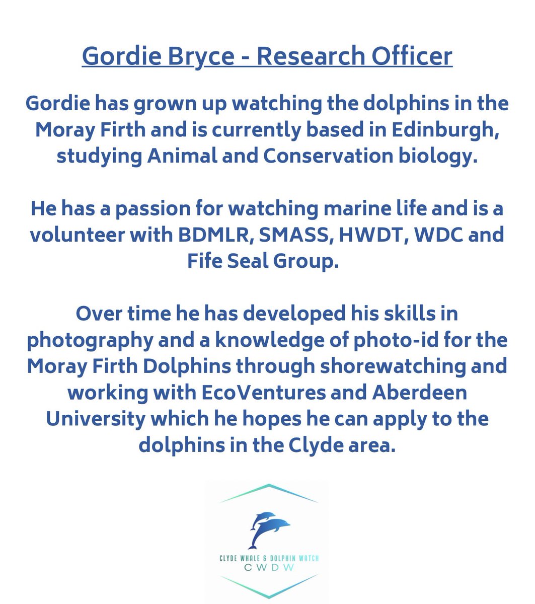 Clyde Whale & Dolphin Watch tweet media