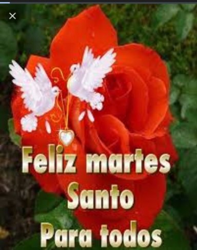 Que hoy sea un fructífero día para todos en el amor de Dios 🙌🏼 q esté iluminado tu camino por la verdad y la Paz <a href="/mivi44/">🦋🌹 Claudia 🌹🦋</a> 🦋<a href="/Carol18ing/">🇻🇪 Ingrid 🌹</a> <a href="/CarnetDLaPatria/">Carnet de la patria</a> <a href="/feentidios35/">Ángela Ávila 🐬</a> <a href="/ArelisSnchez18/">✨ Arelis Sánchez ✨</a> <a href="/chande5035/">chande</a> <a href="/SoyYolit2/">Yolimar</a> <a href="/twitera_soy/">🌻Michell🌻</a> <a href="/SoyDadumar1995/">Dayana Duran</a> <a href="/Arelys_50/">Arelys</a> <a href="/mayerli01925861/">mayerlin✨😍</a>
#SemanaMayorEnAmor