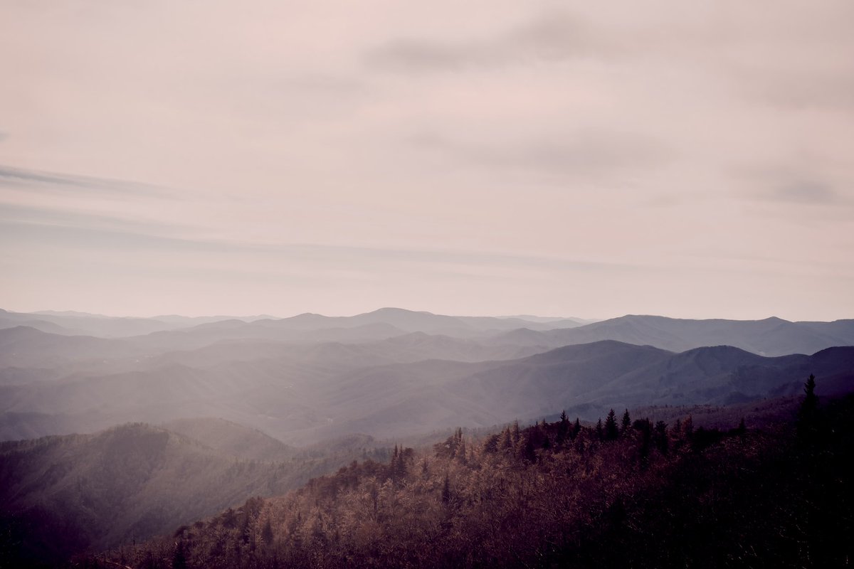 WilledPhotos's tweet photo. These views never get old 🏔️ https://t.co/XlIDvWGKCM