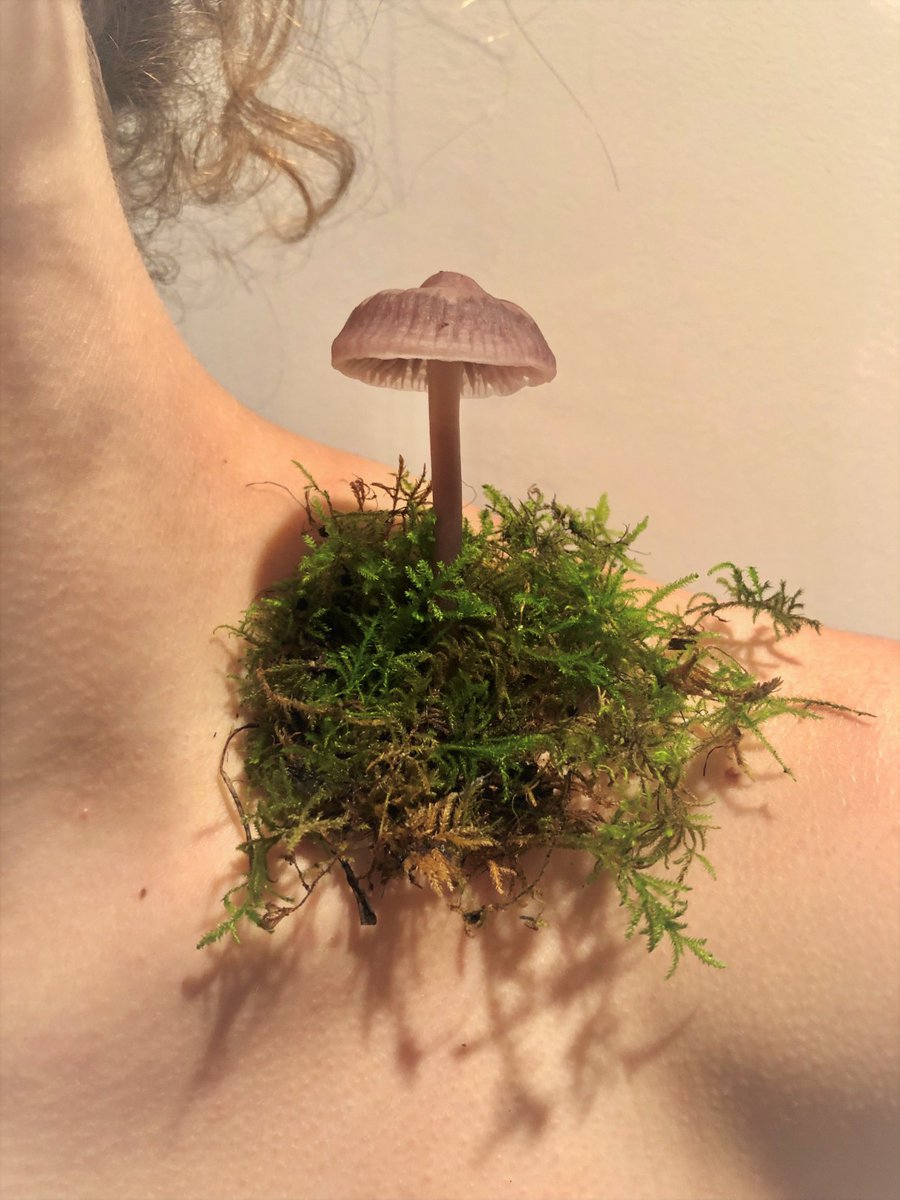 ajuntpalma's tweet photo. 📸'Una paraula, una imatge', la 28 edició Foto Jove arriba al @csolleric
🗓️Del 5 d'abril al 5 de maig
👉Aquest any hi han participat 25 centres d'ensenyament de primària, secundària, batxillerat, formació professional i centres d'educació especial
#PalmaEduca https://t.co/j1yomTNwkE