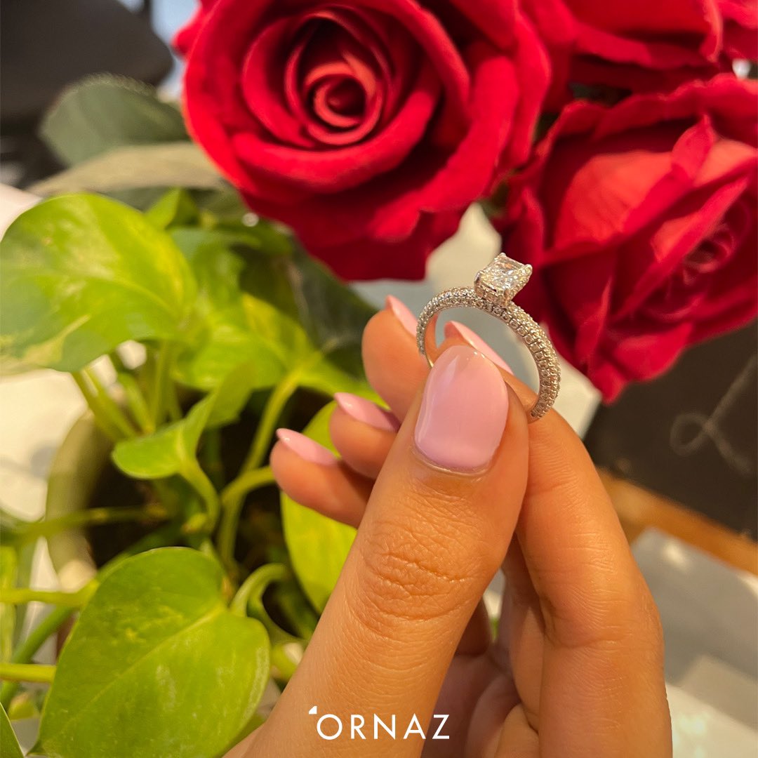 ORNAZ tweet media
