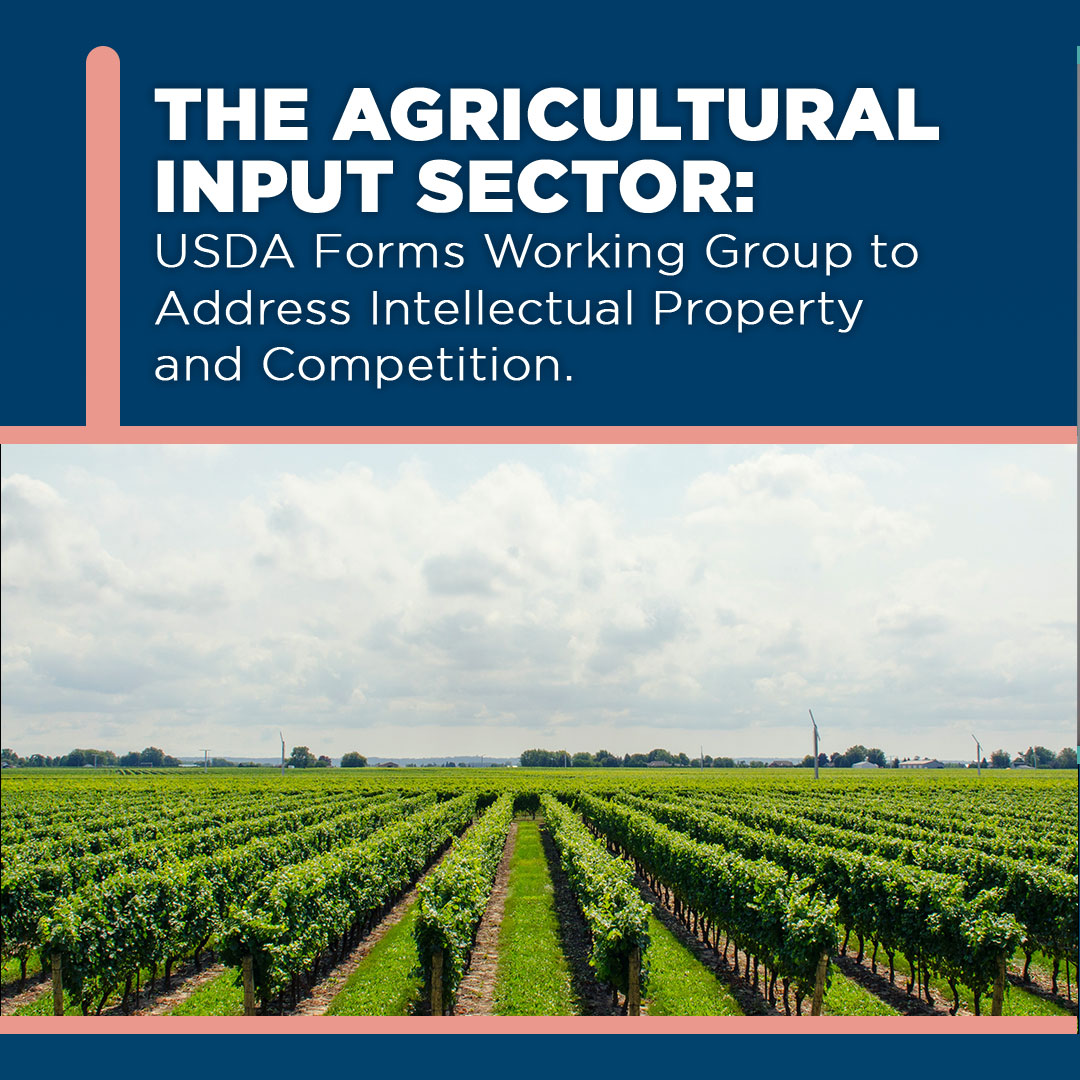IPMoeller's tweet photo. The US Department of Agriculture has announced the formation of a working group on intellectual property and competition in the seed and agricultural input sector.

Read more: https://t.co/yLwXx8VLvn https://t.co/JJoOCWQyKF