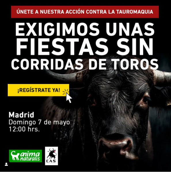 No Corrida tweet media
