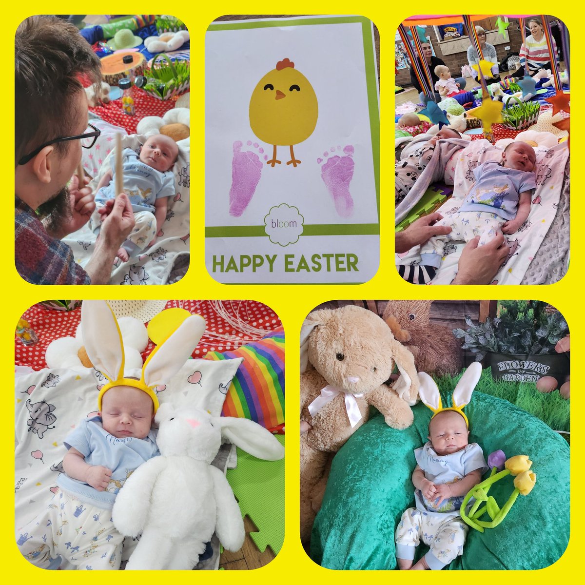 Charlotte Shaw tweet media