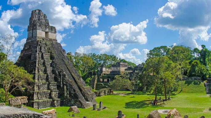 Wander the World tweet media