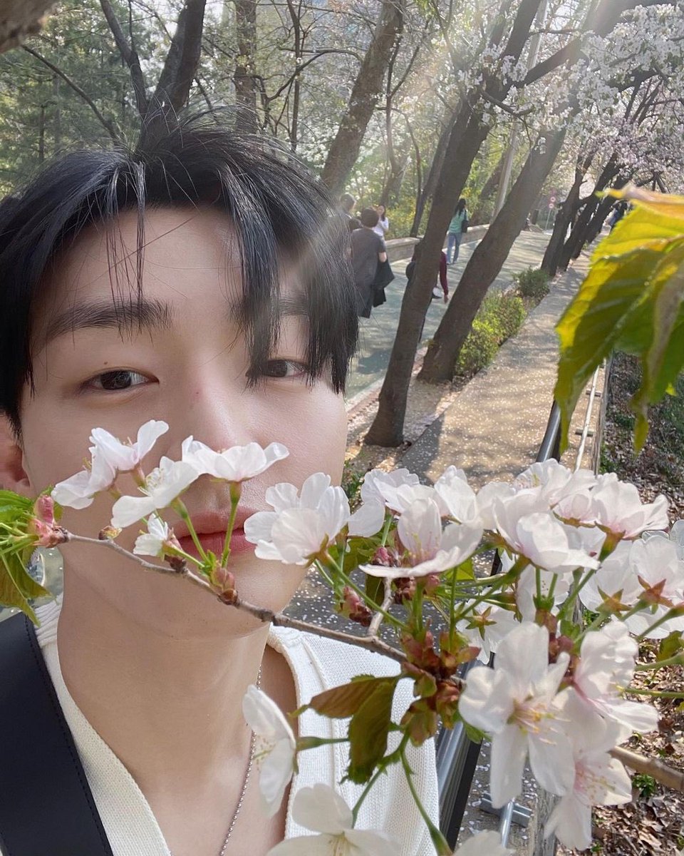 js_bapury's tweet photo. 윤지성 + 벚꽃 = 사랑🩷 https://t.co/WloyOT3xYd