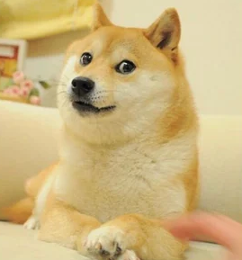 cryptypasta's tweet image. Looks rare 👀