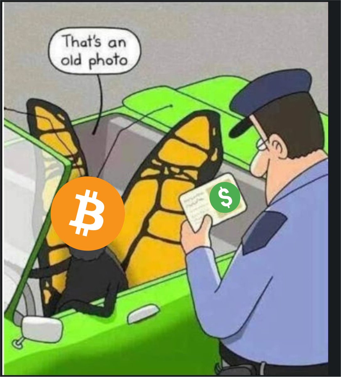 Who else but..
#Bitcoin #FixTheMoney #FixTwitter