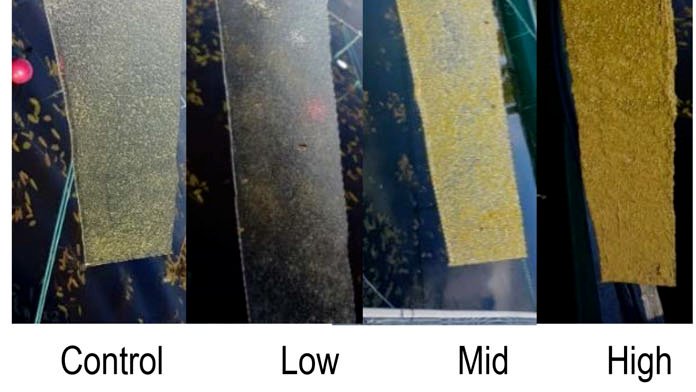 @Umea_Uni_Marine study shows periphyton accrual increase with nutrients associated with increased levels of coloured dissolved organic matter but decrease with warming.  
aslopubs.onlinelibrary.wiley.com/doi/10.1002/lo… 
 @aslo_org #ASLO_LO @UmeaUniversity #aquatic #Climatechange #research #Arctic